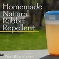 Natural Rabbit Repellent
