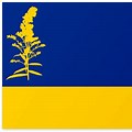 Nebraska Flag Redesign