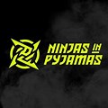 Ninjas in Pyjamas CS2 Logo