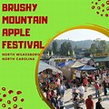 North Wilkesboro Apple Festival