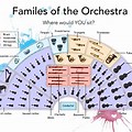 Orchestra Instrument Families