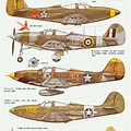 P-39 Airacobra Color Schemes