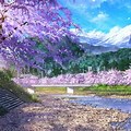 PC Backgrounds Cherry Blossom Anime
