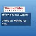 PPI Business System