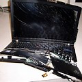 Passenger Princess Broken Laptop