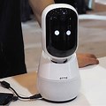 Personal Assistant Robot