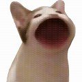 Pop Cat Open Mouth Transparent