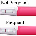 Pregnancy Test Clip Art
