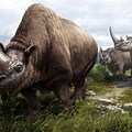 Prehistoric Rhino Species