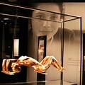 Preserved Human Bodies Exhibition