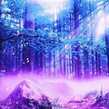 Purple and Blue Mystical Forest