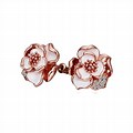 Rose Gold Plated Stud Earrings