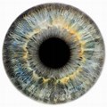 Scarborough Maine Eye Iris Art