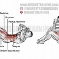 Sit-Ups Target Muscles