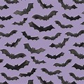 Small Bat Background