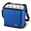 Small Cooler with Ice Packs