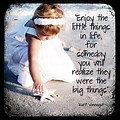 Small Things in Life Quotes