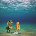 Spongebob Fish Cleaning Meme