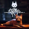 Stray The Cat Game