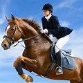 Super Cool Horse Riding Picture