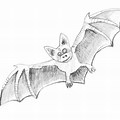 Super Duper Easy Bat Drawing