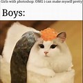 Sushi Cat Game Meme