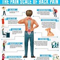 Symptoms Back Pain Diagnosis Chart