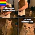 Table Cat Pride Month Meme
