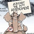 The 14th Amendment Equal Protection Cartoon