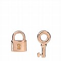 Tiffany Rose Gold Modern Key