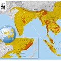 Tiger World Population Map