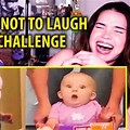 Try Not to Laugh Challenge Reaction