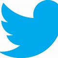 Twitter Bird Logo No Background