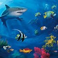 Underwater Sea Background Wallpaper