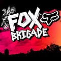 Vimeo Fox Brigade Logo