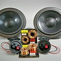 Vintage 6 Ohm Speakers