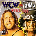 WCW/NWO vs the World Background