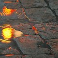 Water Puddle Reflecting Light