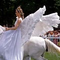 Wearable Wings Pegasus Girls