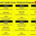 Weekly Cardio Workout