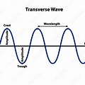 What Is the Crest of a Transverse Wave
