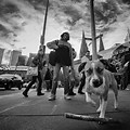 Wide Angle Lens Street Photography