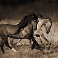 Wild West Horse Sepia