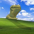 Windows XP Background Memes Kermit