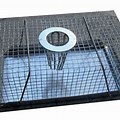 Wire Cage Rat Traps