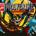 Wolverine Adamantium Rage Video Game