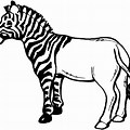 Zebra Coloring Pages Printable without Stripes