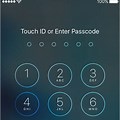iOS Passcode Icon