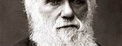 Charles Darwin Bild