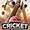 Cricket Board Poster